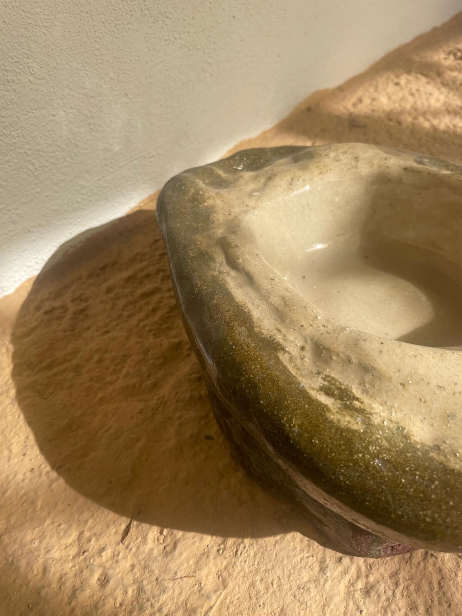 Aguacate - 8