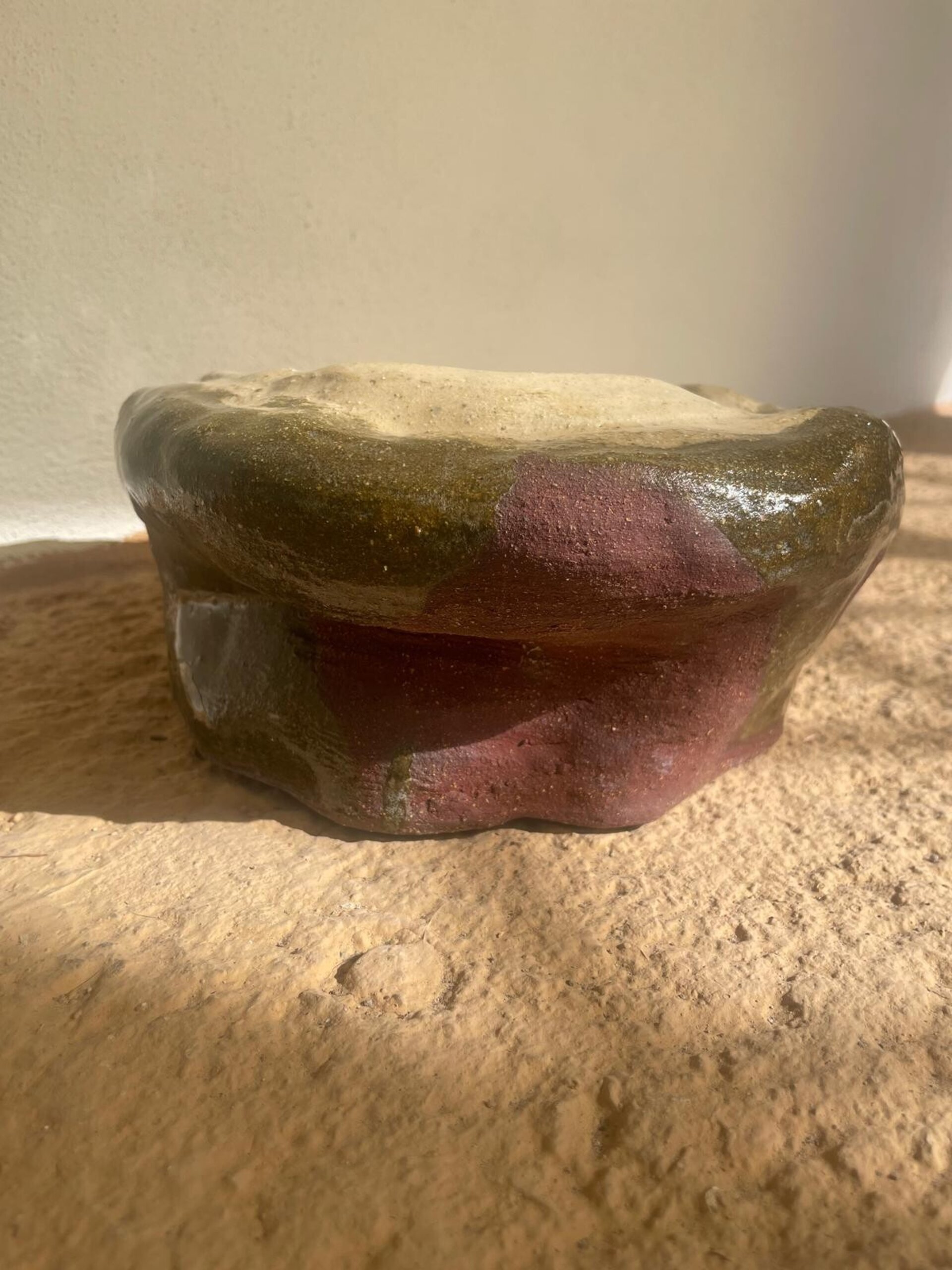 Aguacate - 7