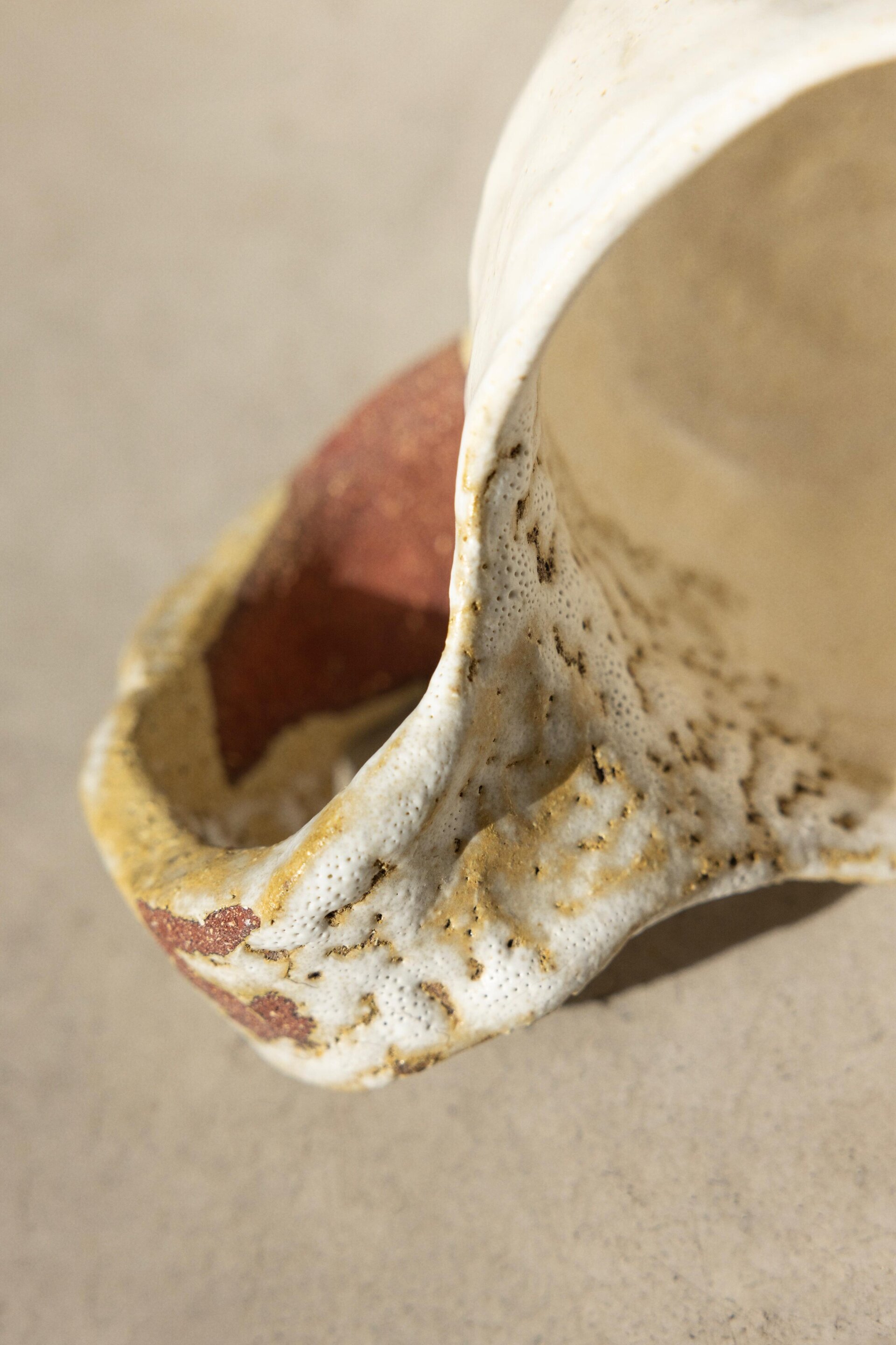 Taza espuma - 3