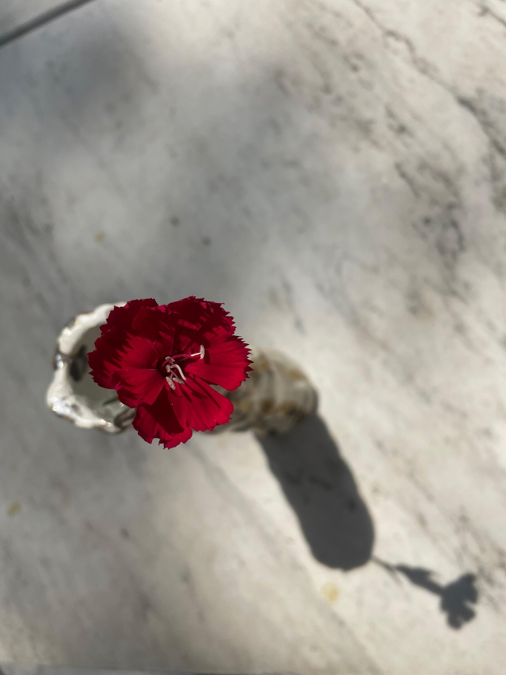 Florero rayas - 2