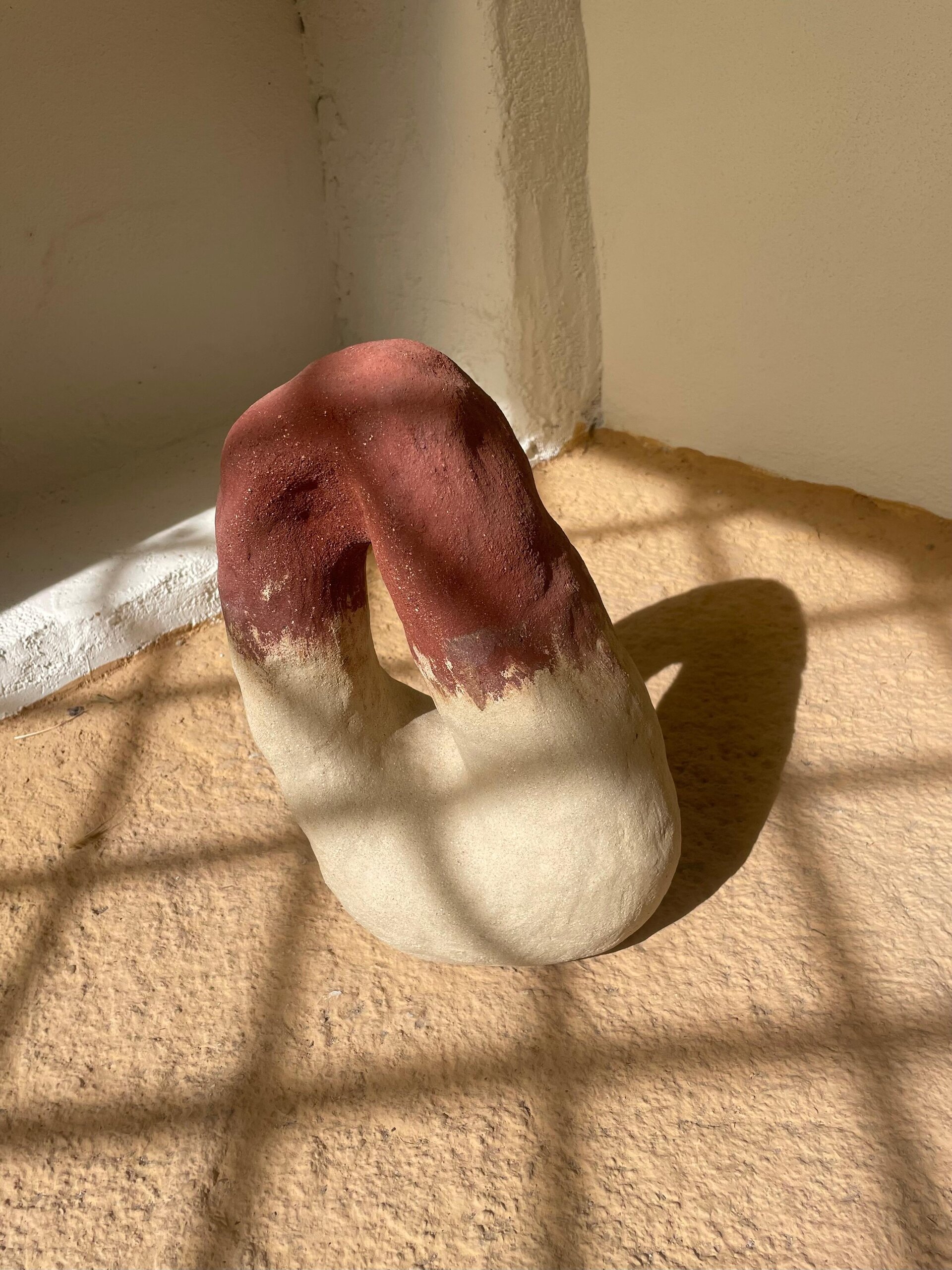 Escultura bicolor - 5