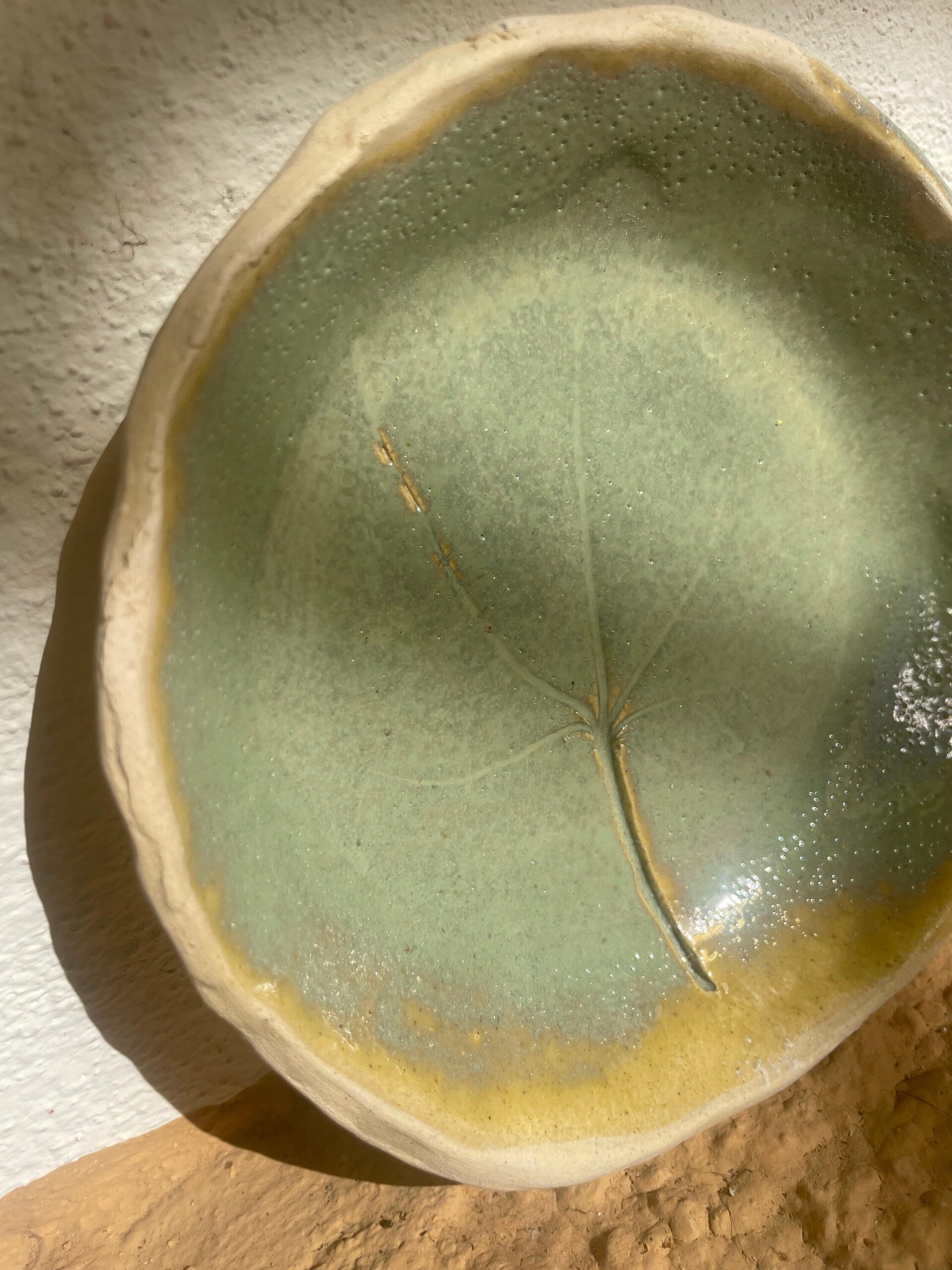 Plato higuera - 2